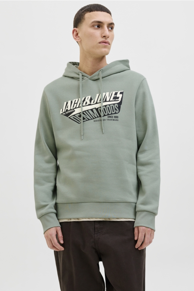 JJELOGO SWEAT HOOD 2 COL 25/26 NOOS 12279649 Iceberg Green